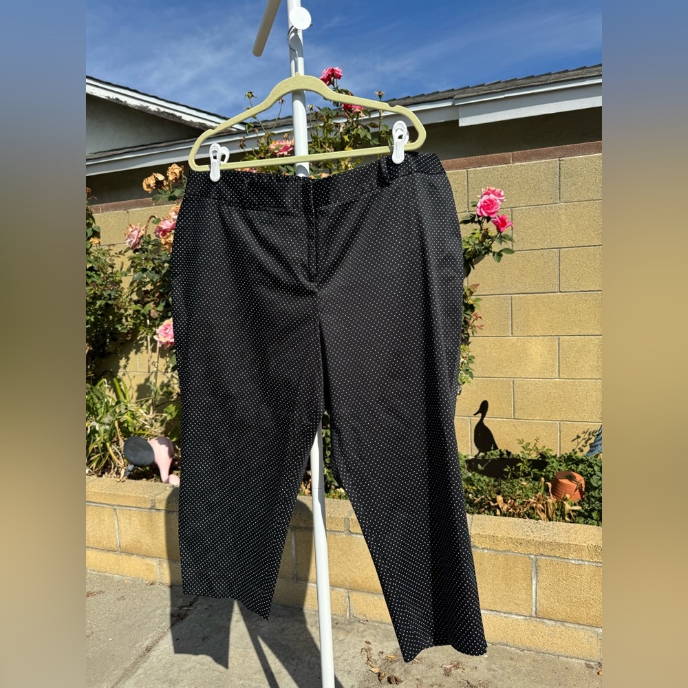 Talbots Black Polka Dot Stretch Pants